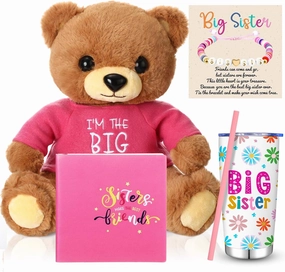 4 Pcs Big Sister Gifts for Girls the Big Sister Bear 20 oz Stainless Steel Tumbler with Straw Bear Stuffed Animal Notebook Bracelet for Newborn Baby Shower Birthday Party Gifts