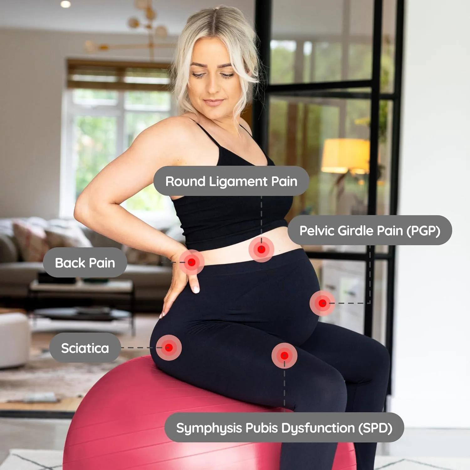 BABYGO® Birthing Ball for Pregnancy & Labor   Our Award Winning Book - Exercise, Birth & Recovery Plan, 5X Stronger Than a Yoga Ball with Eco Friendly Material