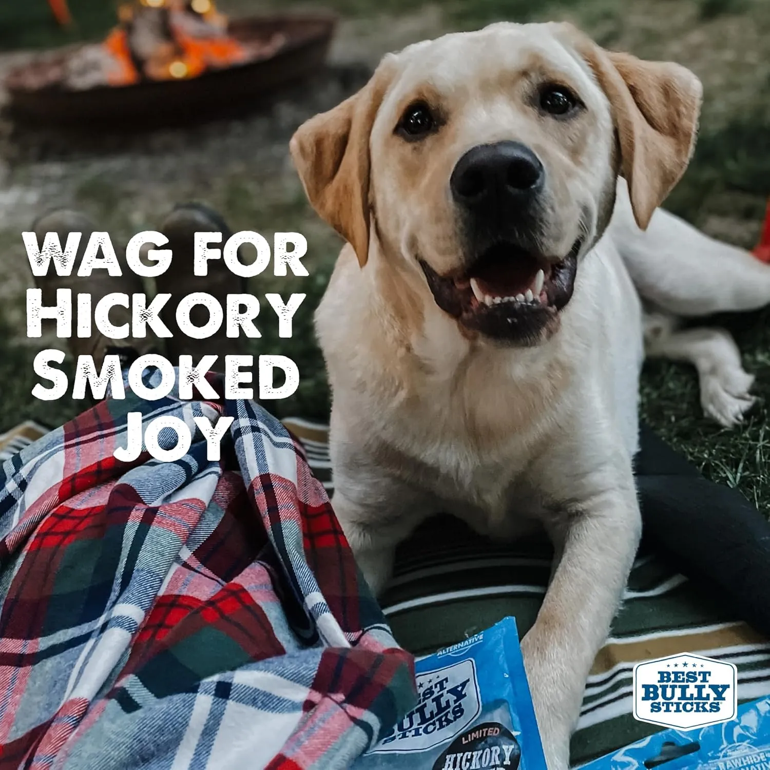 Best Bully Sticks Hickory Smoked Marrow Bones - 8 Count (Pack of 1) - No Additives, Long-Lasting, Great for Large Breeds