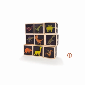 Dinosaur Blocks