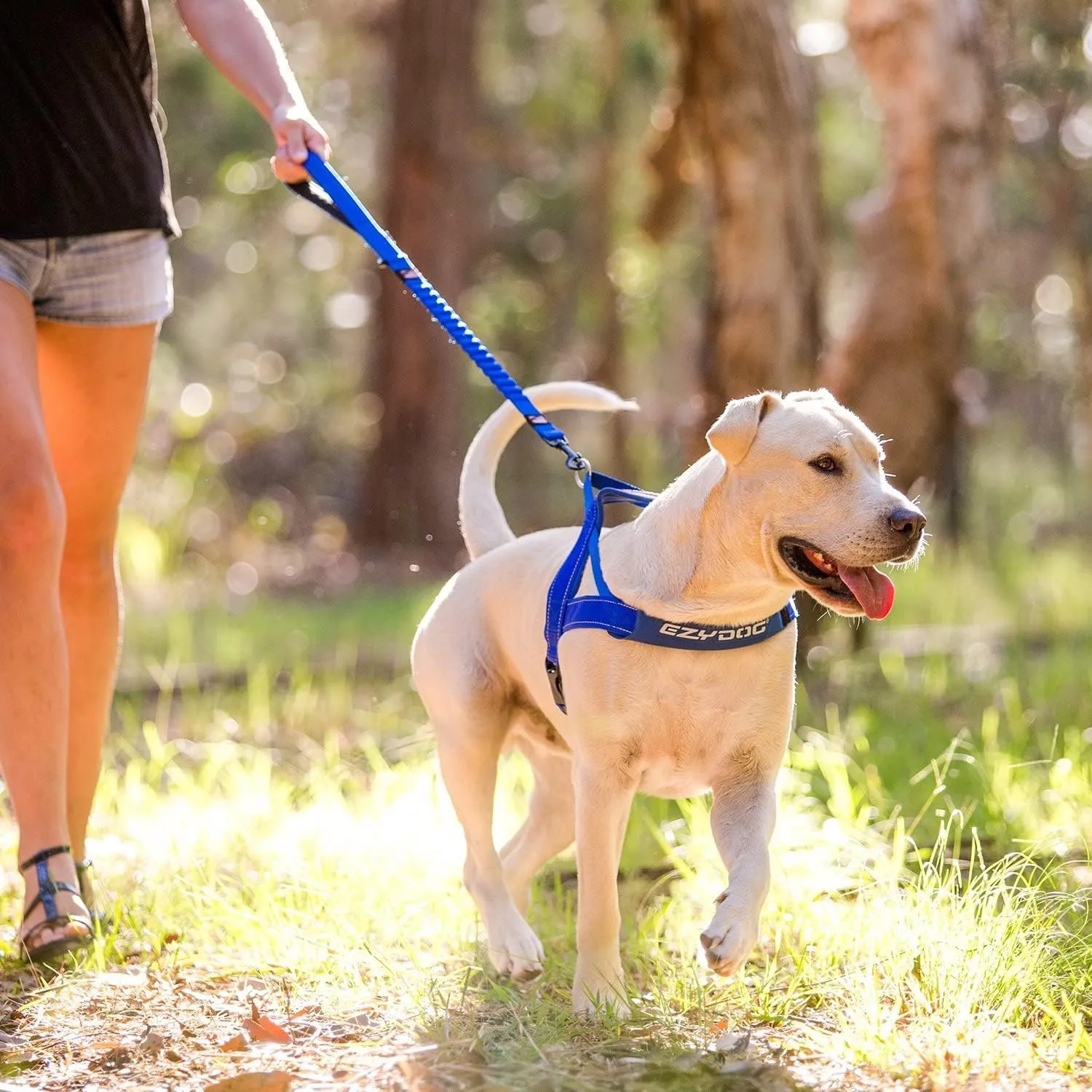 EzyDog Zero Shock Dog Leash - Shock Absorbing Bungee Leash for Dogs That Pull or Excite - Dual Handle and Reflective for Large, Medium, or Small Dogs (72-Inch, Blue)