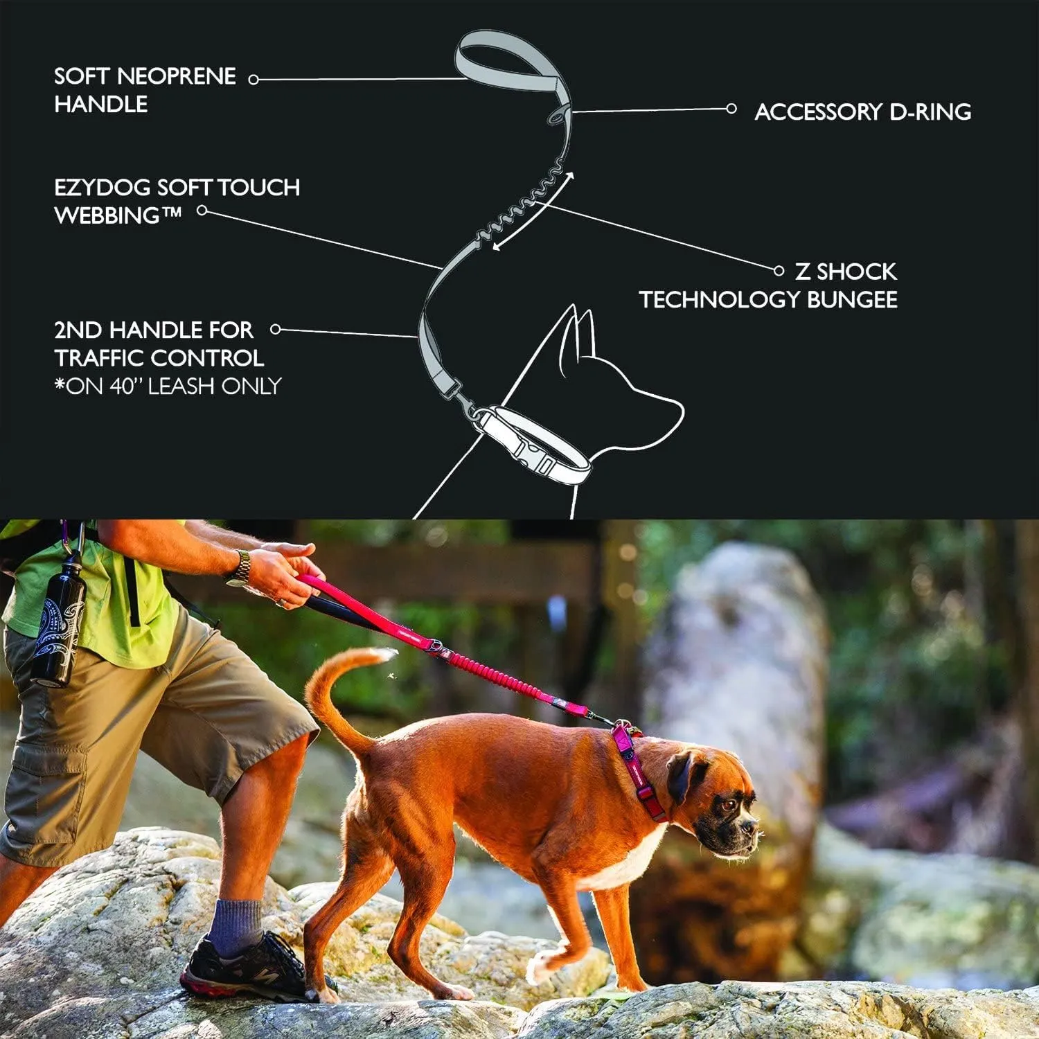 EzyDog Zero Shock Dog Leash - Shock Absorbing Bungee Leash for Dogs That Pull or Excite - Dual Handle and Reflective for Large, Medium, or Small Dogs (72-Inch, Blue)
