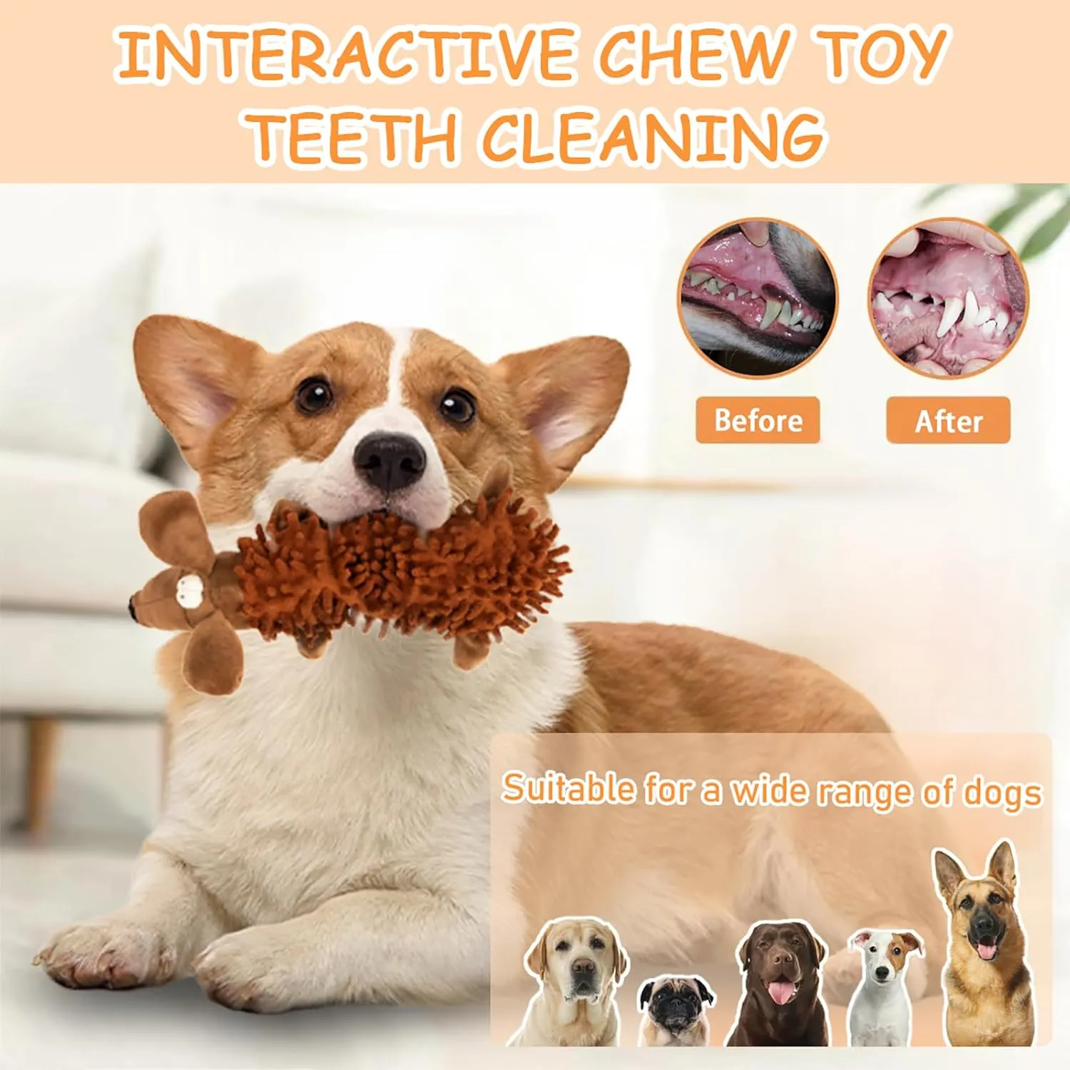 JMZDS&JL Dog Squeak Toys, Puppy Teething Toy, Dog Chewing Toys for Puppies, Medium Size Dogs, Plush Stuffed Crinkle Pet Chew Toys, Texture Exploration, Stuffed Animals for Dogs.（6pack）