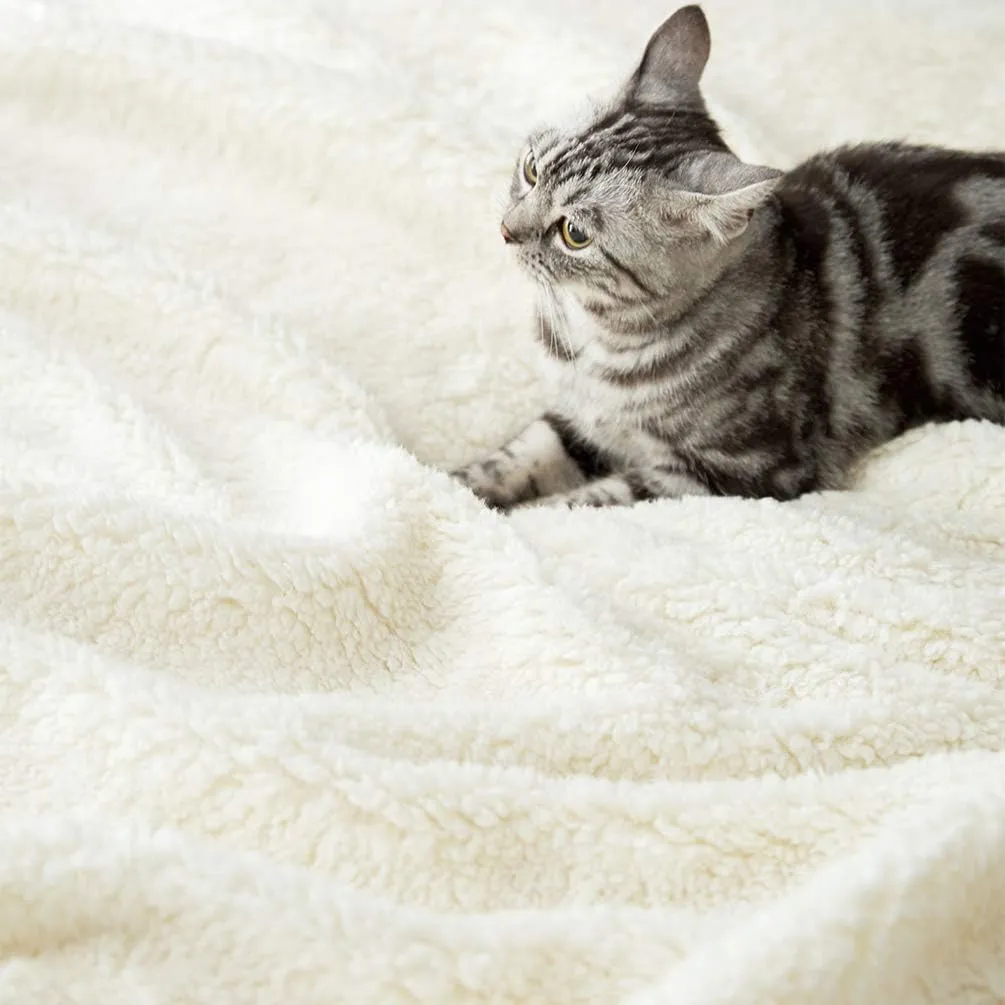 LBRO2M Sherpa Fleece Bed Blanket Fuzzy Plush Warm Super Soft Cozy Fluffy Microfiber Couch (Black, Twin(65x90 Inches))