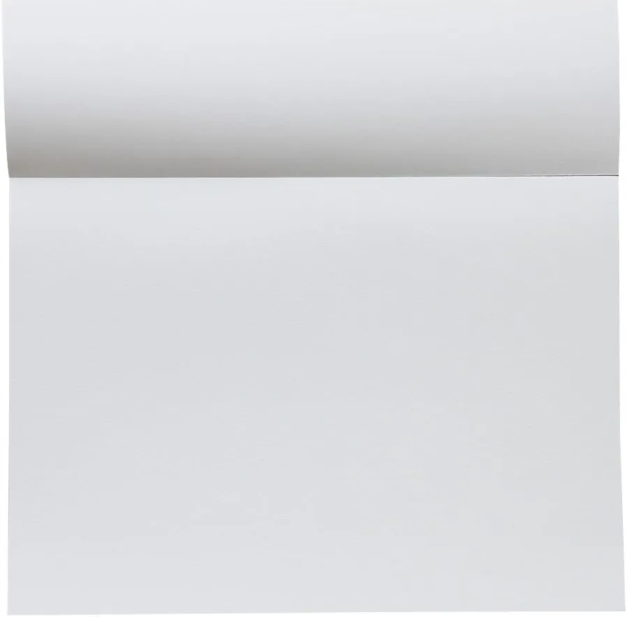 Maruman ZUAN Sketchpad 13.86 x 9.88 Inches (B4), Unruled, 50 pages (S251)