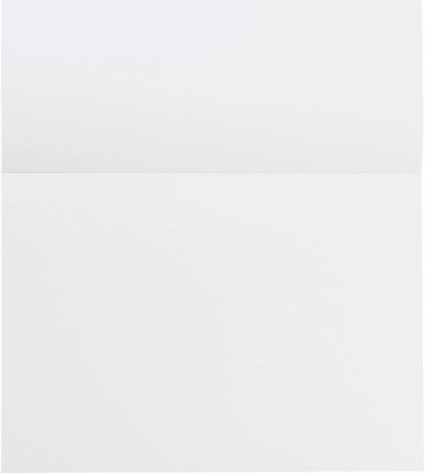 Maruman ZUAN Sketchpad 11.69 x 8.27 Inches (A4), Unruled, 50 pages (S252)