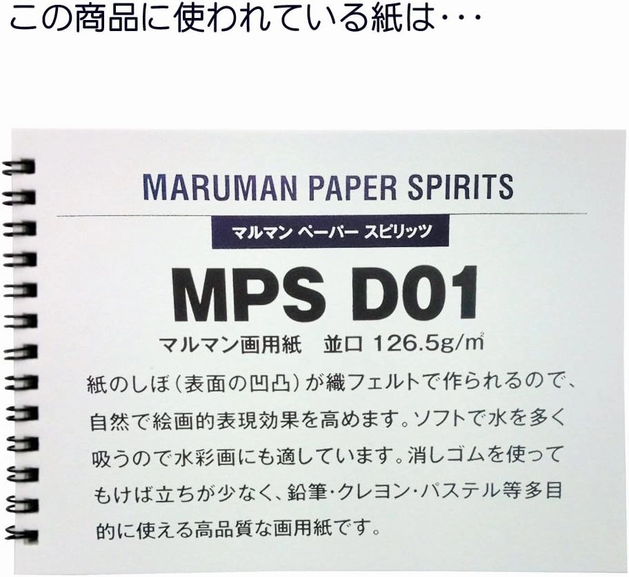 Maruman ZUAN Sketchpad 11.69 x 8.27 Inches (A4), Unruled, 50 pages (S252)
