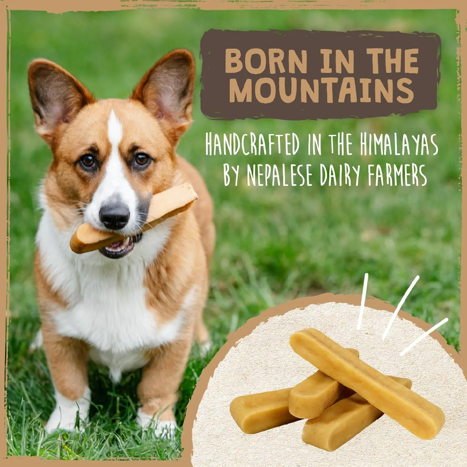 Mighty Paw Yak Cheese Chews for Dogs - All-Natural Long Lasting Pet Treats - Odorless Limited-Ingredient Chews for Puppies & Power-Chewers (Medium, 4 Pack)