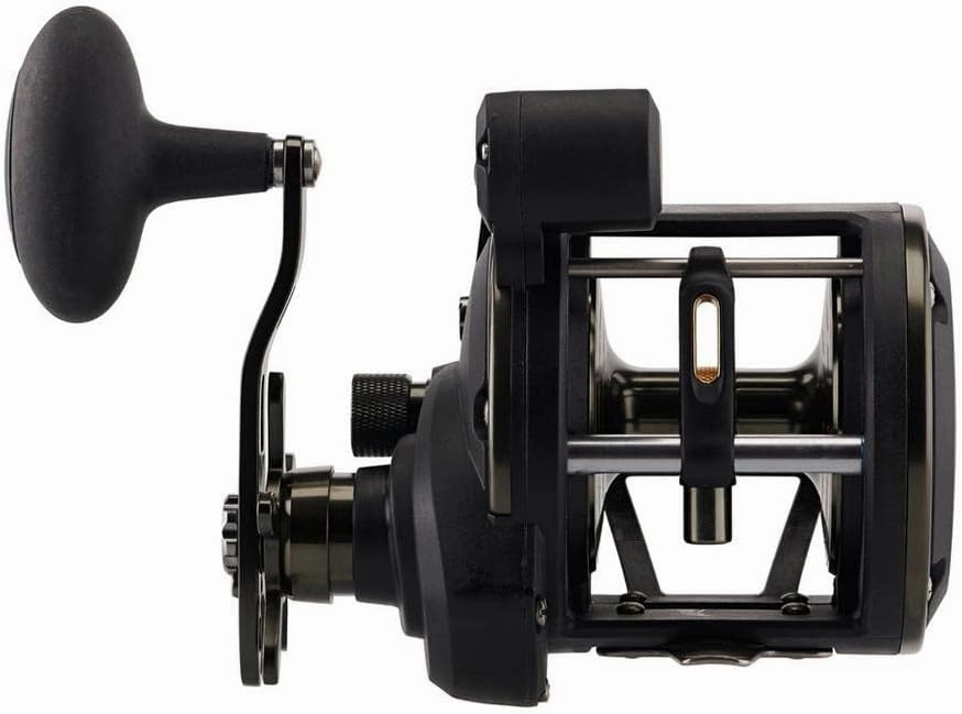 PENN Squall II Level Wind Conventional Fishing Reel