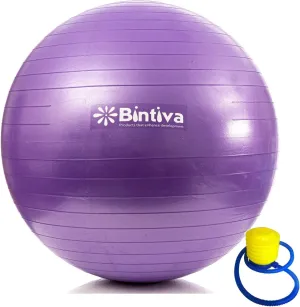 Pregnancy & Birthing Ball - Maximum Stability Exercise Ball for Desk, Office & Home