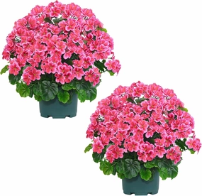 QIANYUN Artificial Topiary for Outdoors- 20” Potted Plant Fake Geraniums Bush-UV Resistant Artificial Outdoor Plant for Front Porch, Garden, Yard, Patio Decor (Dark Pink)