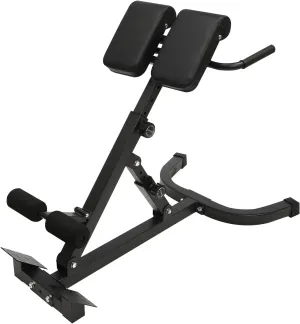 Roman Chair Back Extension Machine Foldable 5 Position Sit up Multi-Functional Hyperextension Back Strength Exercise Bench 330 lbs for Home Workout Gym Fitness Equipment