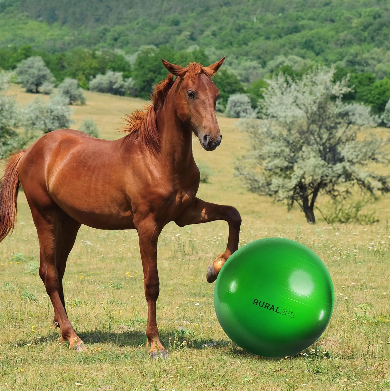 Rural365 Large Horse Ball Toy in Green, 40in Ball Anti-Burst Giant Horse Ball – Horse Soccer Ball, Pump Included