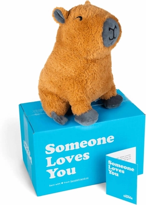 SendAFriend Crouton The Capybara Stuffed Animal Care Package, Someone Loves You Box, Great Gift for Any Reason (Miss You Notecard)