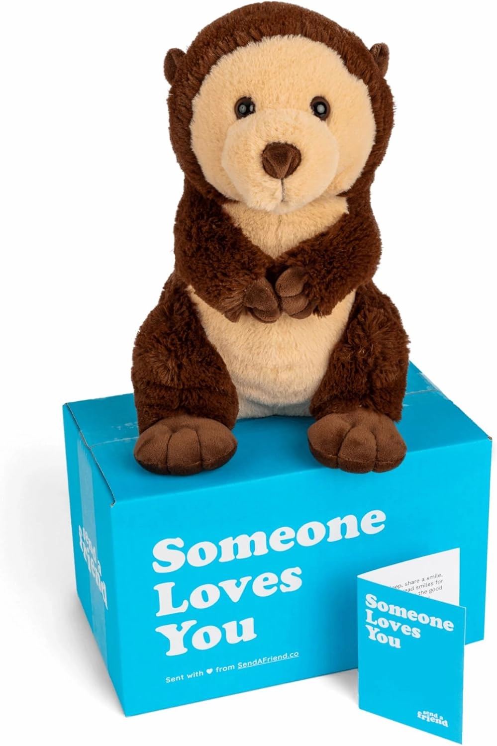 SendAFriend Oliver The Otter Stuffed Animal Care Package, Someone Loves You Box, Great Gift for Any Reason (Love You Notecard)