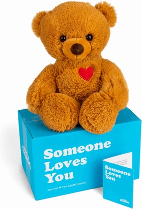 SendAFriend Toby The Teddy Bear Stuffed Animal Care Package, Someone Loves You Box, Great Gift for Any Reason (Birthday Notecard)