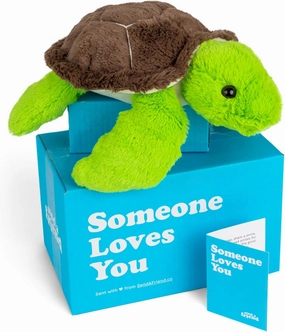 SendAFriend Tucker The Turtle Stuffed Animal Care Package, Someone Loves You Box, Great Gift for Any Reason (Love You Notecard)