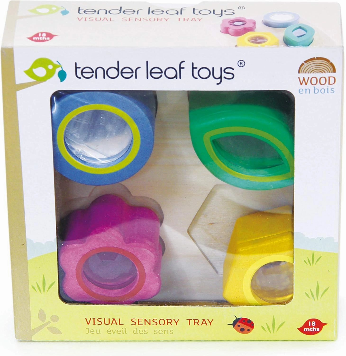 Tender Leaf Toys - Sensory Trays - Baby Blocks, Shape Sorter, STEM Learning Shape Identification Sorting Game Toy for Kids 18 Month   (Visual Sensory Trays)
