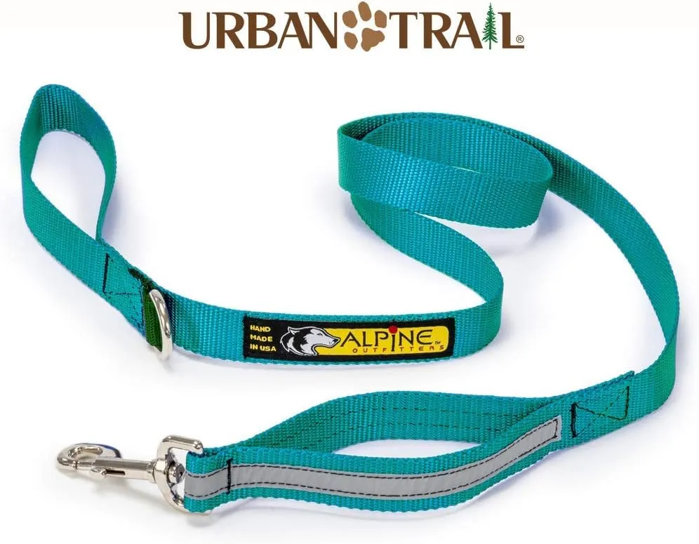 Urban Trail® Walking Leash with Traffic Handle and Accessory Ring, 1" with 3M Scotchlite Reflective Bands (Teal)