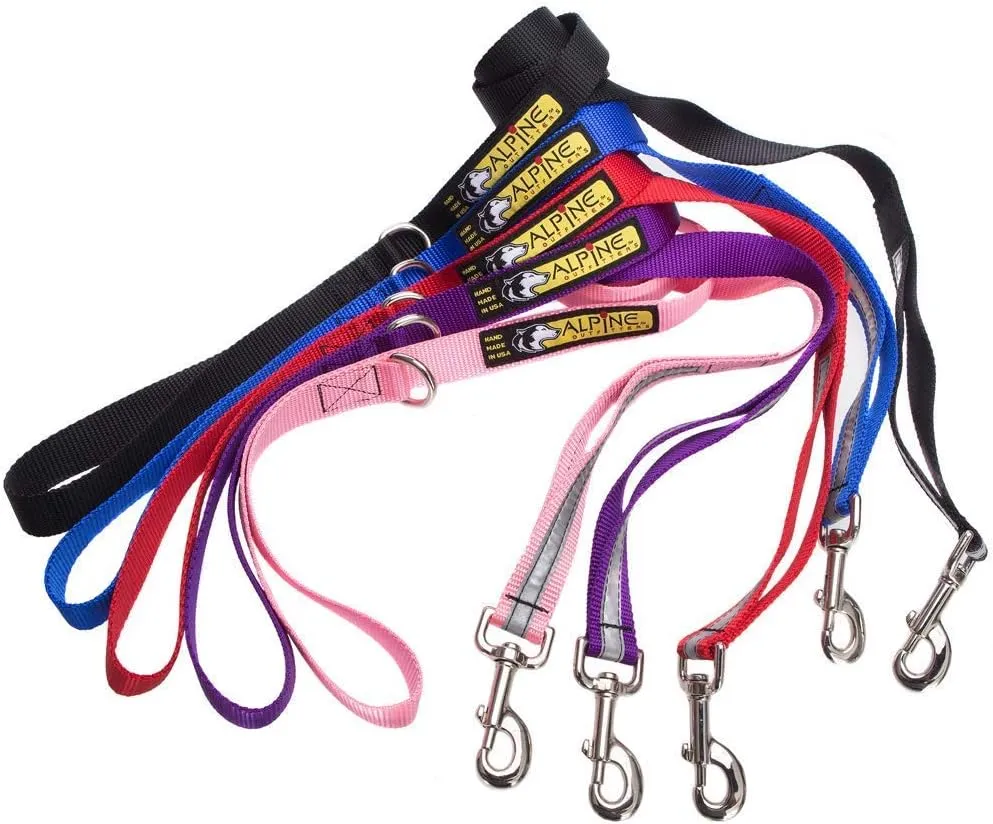 Urban Trail® Walking Leash with Traffic Handle and Accessory Ring, 1" with 3M Scotchlite Reflective Bands (Teal)