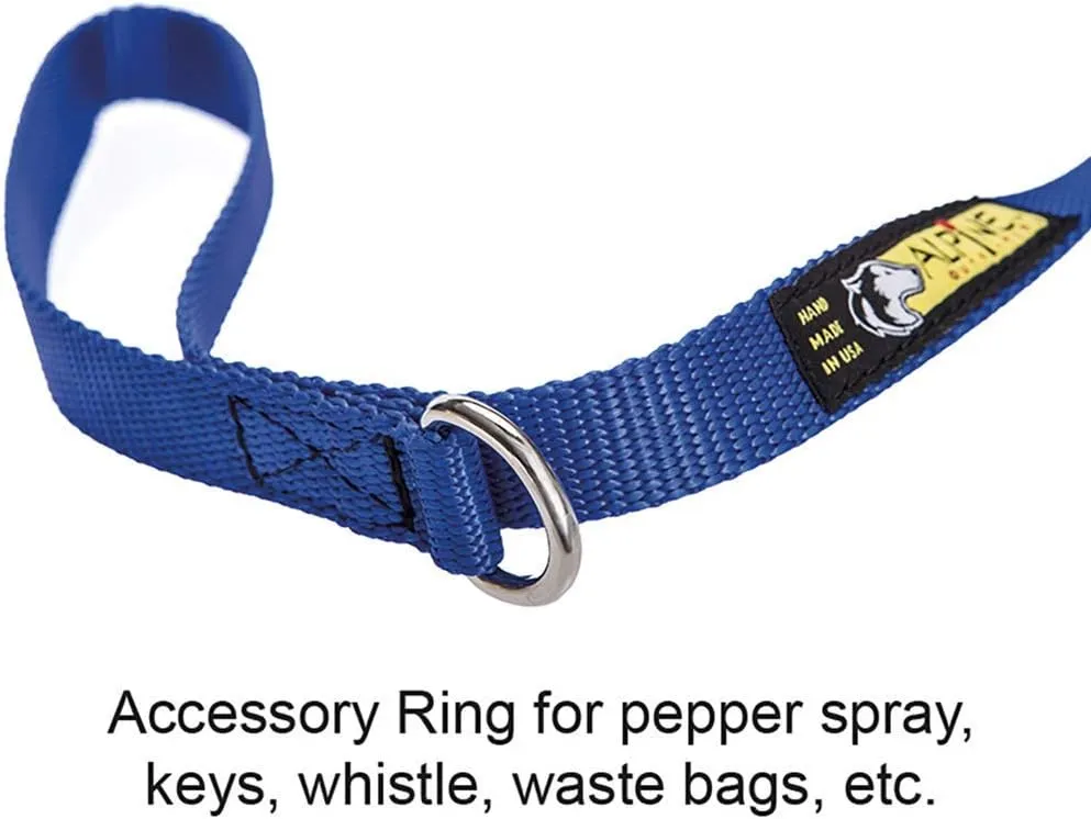 Urban Trail® Walking Leash with Traffic Handle and Accessory Ring, 1" with 3M Scotchlite Reflective Bands (Teal)